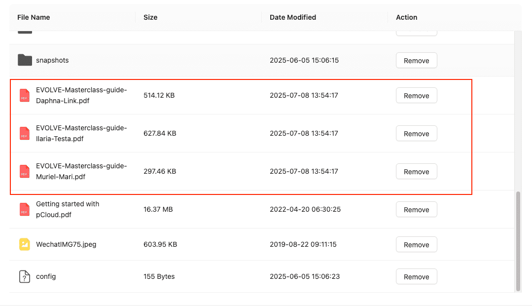 Files transferred to pCloud