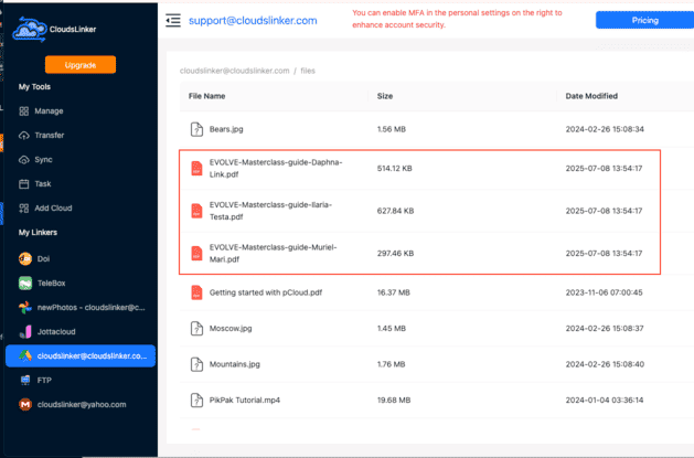 Confirming the DOI to Google Drive transfer