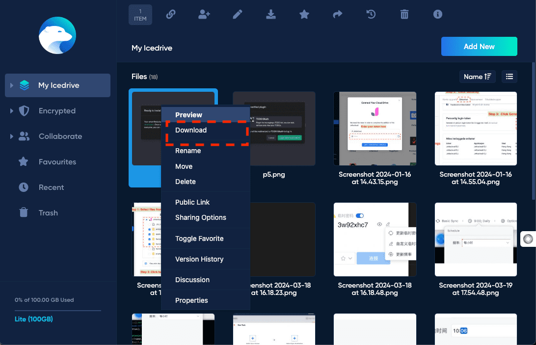 downloading files from IceDrive