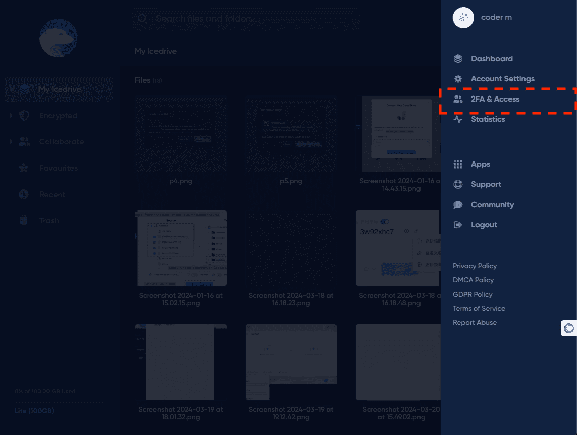 Navigating IceDrive settings