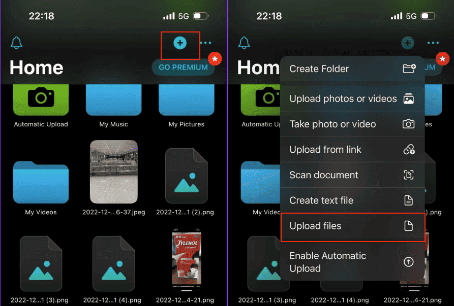 pCloud upload option on iPhone