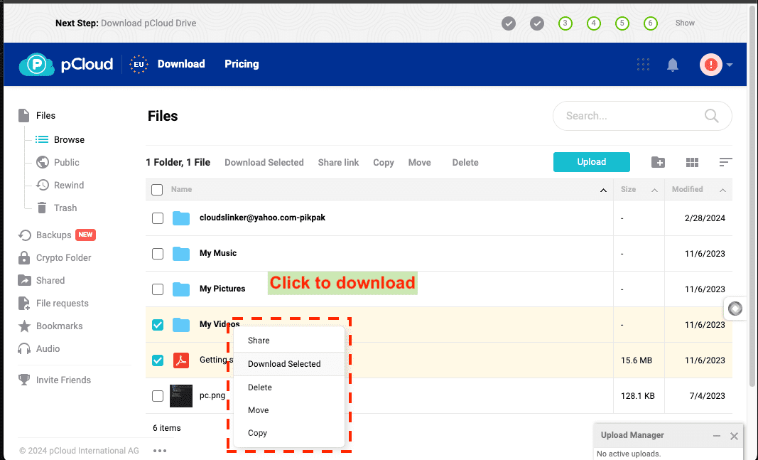 Extracting files from pCloud to local system