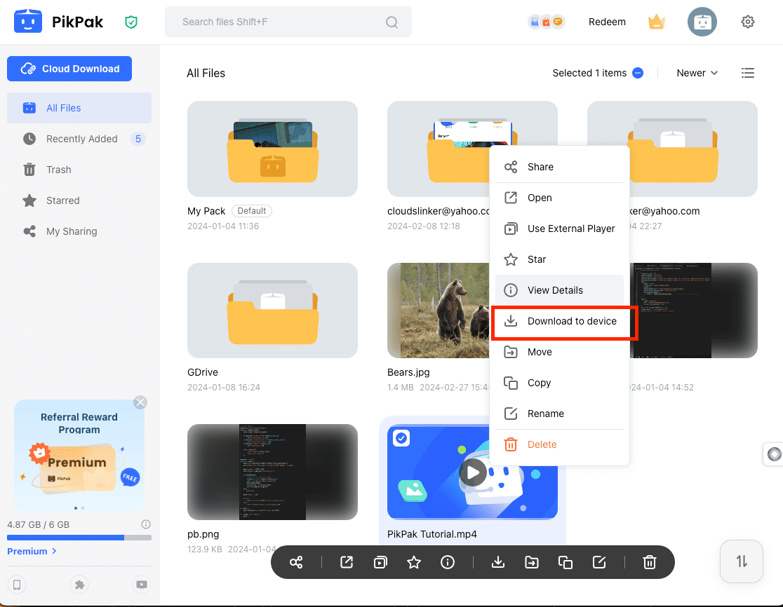 Downloading media from PikPak to local storage