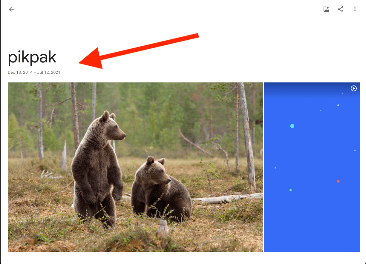 Reviewing transferred media in Google Photos