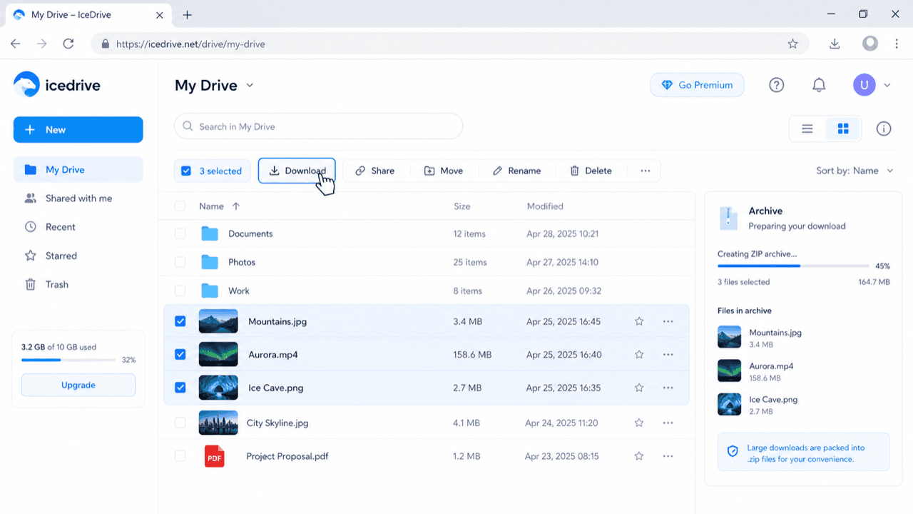 Download files from the IceDrive web interface