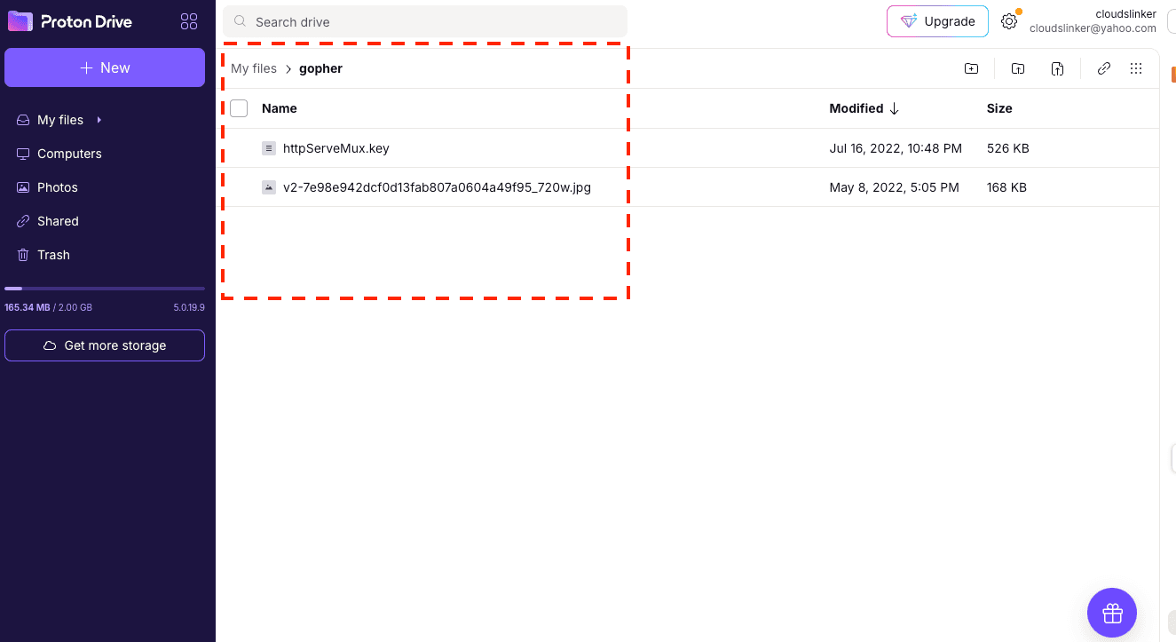Checking transferred files in Proton Drive