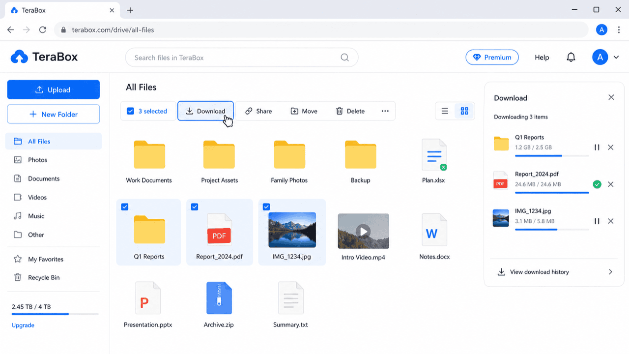 Download files from the TeraBox web interface