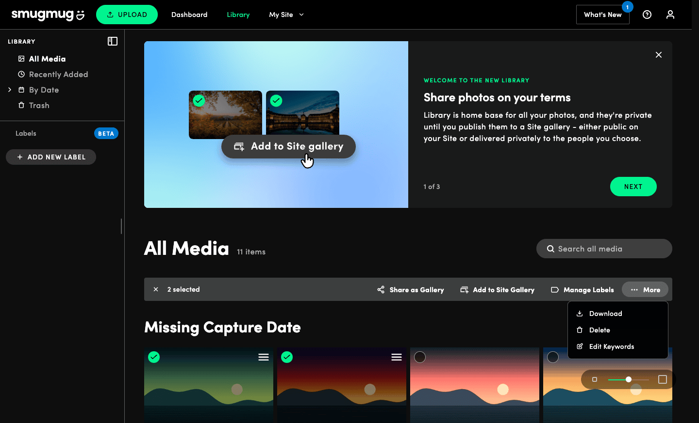 SmugMug Library All Media view with two photos selected: the selection bar offers Share as Gallery, Add to Site Gallery, Manage Labels and More, whose menu lists Download, Delete and Edit Keywords; a banner explains that Library photos stay private until published to a Site gallery