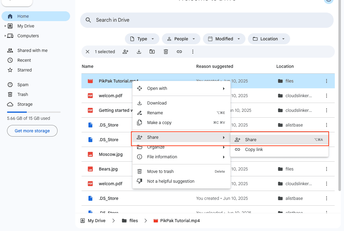Google Drive Share Option